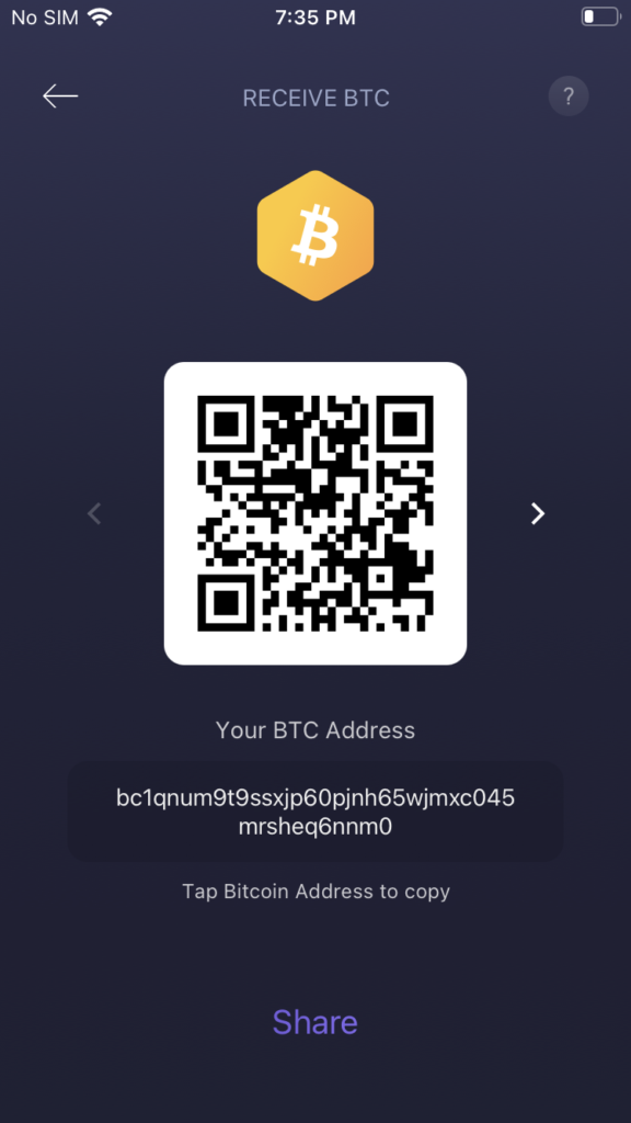 send bitcoin